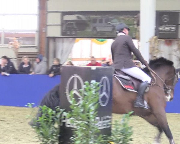 Reitturnier Isterberg 2018