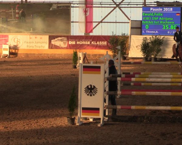 Reitturnier Pausin 2018