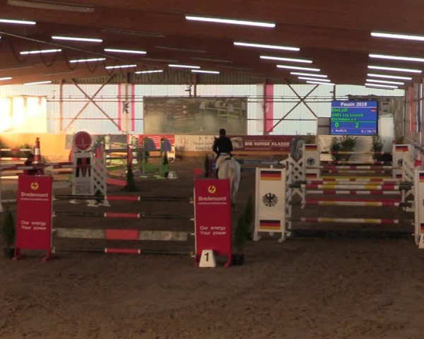 Reitturnier Pausin 2018