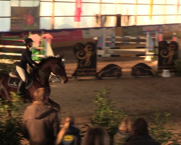 Reitturnier Pausin 2018
