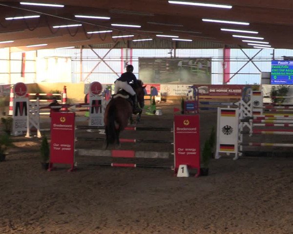 Reitturnier Pausin 2018