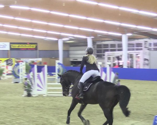 Reitturnier Isterberg 2018