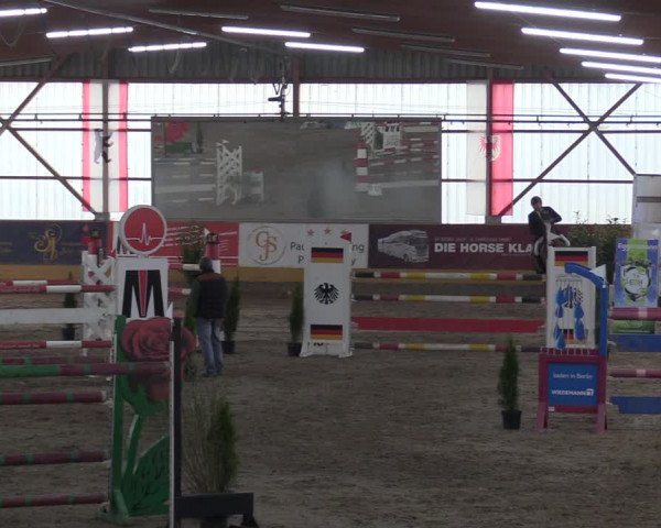 Reitturnier Pausin 2018