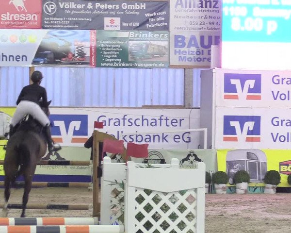 Reitturnier Isterberg 2018
