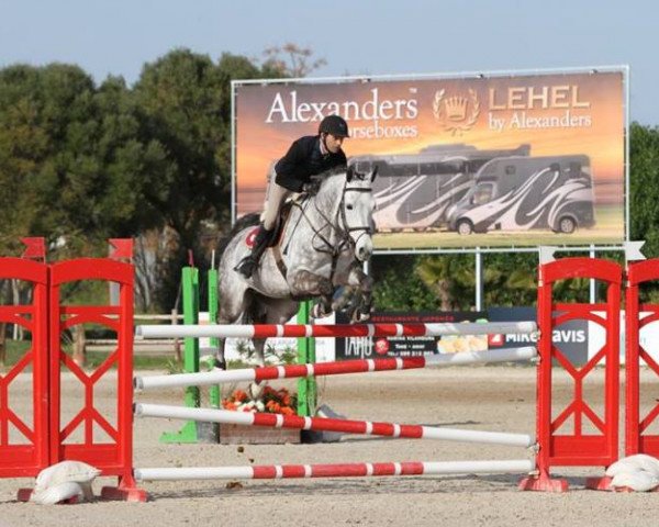 Deckhengst Clyde Lvb Z (Zangersheide Reitpferd, 2010, von Clinton)