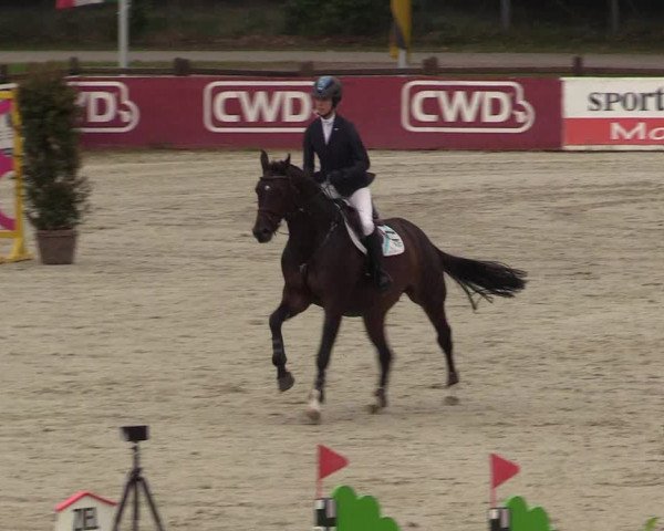 Reitturnier Westergellersen 2021
