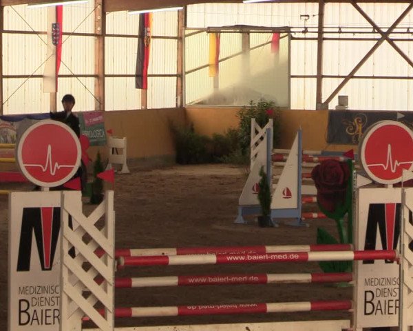 Reitturnier Pausin 2018