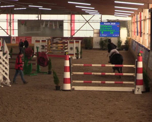 Reitturnier Pausin 2018