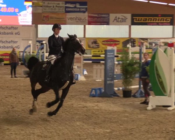 Reitturnier Isterberg 2018