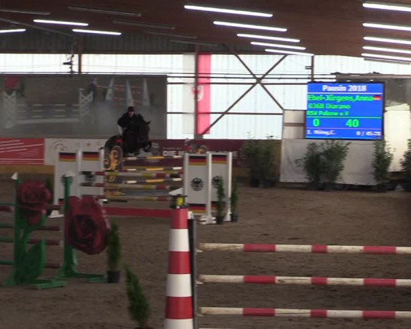 Reitturnier Pausin 2018