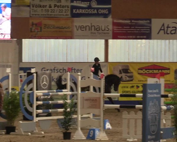 Reitturnier Isterberg 2018