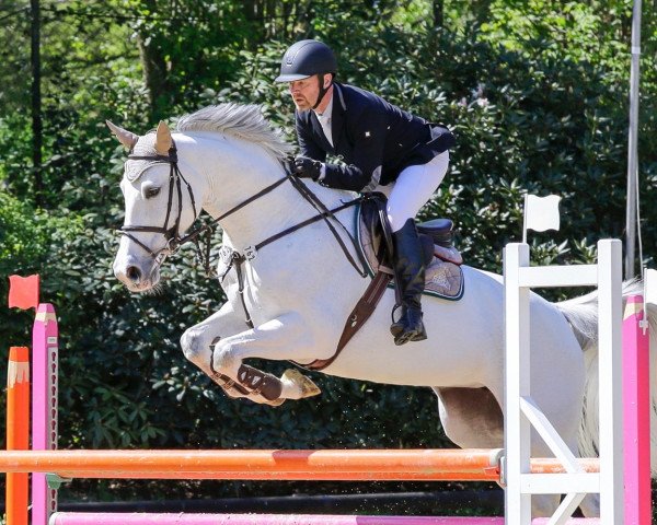 jumper Winnie 298 (KWPN (Royal Dutch Sporthorse), 2003, from Quite Easy I)