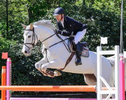 jumper Winnie 298 (KWPN (Royal Dutch Sporthorse), 2003, from Quite Easy I)