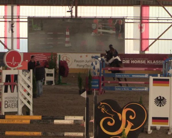 Reitturnier Pausin 2018