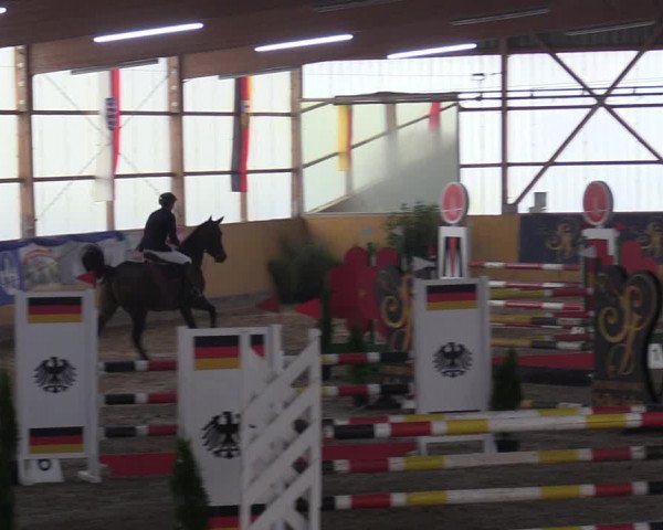 Reitturnier Pausin 2018