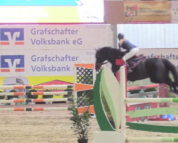 Reitturnier Isterberg 2018
