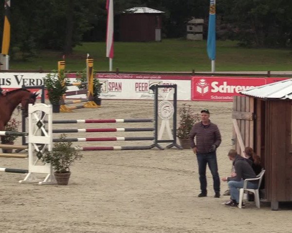 Reitturnier Westergellersen 2021