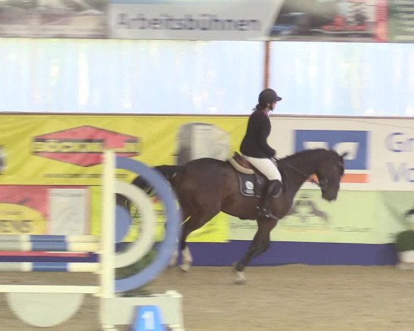 Reitturnier Isterberg 2018