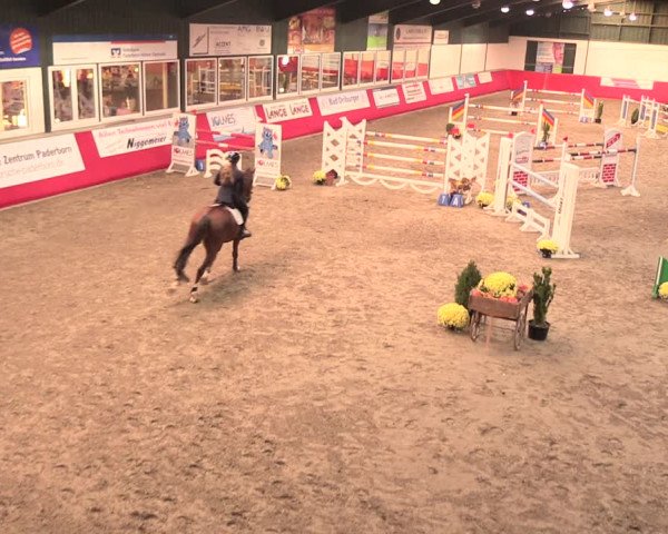 Salzkottener Pferdefestival 2018