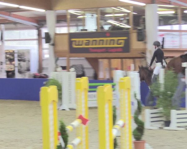 Reitturnier Isterberg 2018