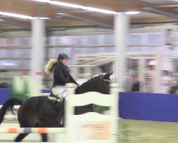 Reitturnier Isterberg 2018