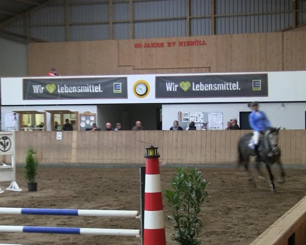 Reitturnier Niebüll 2018