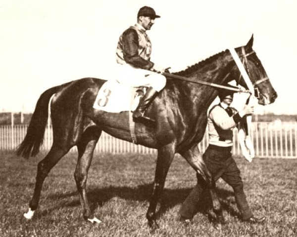 broodmare Nereide xx (Thoroughbred, 1933, from Laland xx)