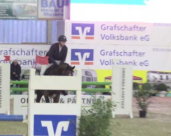 Reitturnier Isterberg 2018