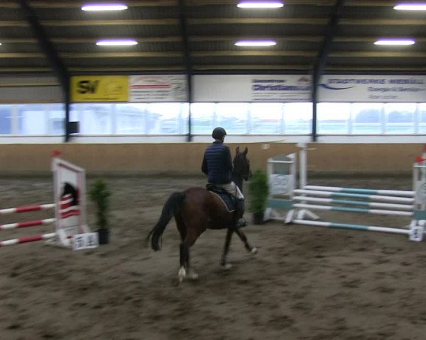 Reitturnier Niebüll 2018