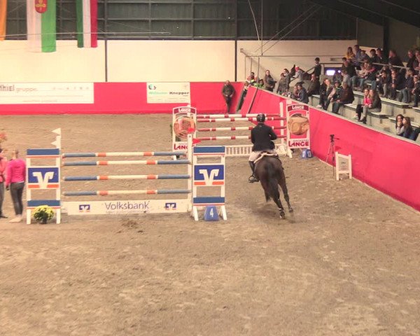 Salzkottener Pferdefestival 2018
