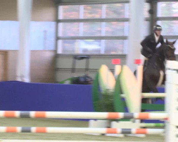 Reitturnier Isterberg 2018