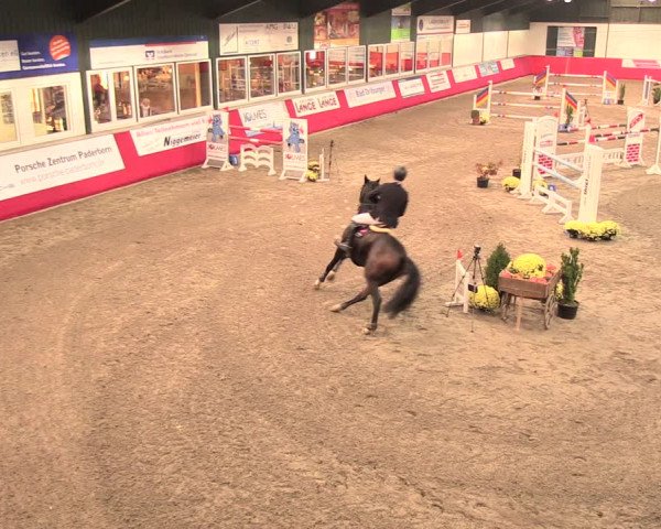 Salzkottener Pferdefestival 2018