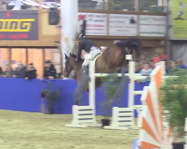 Reitturnier Isterberg 2018