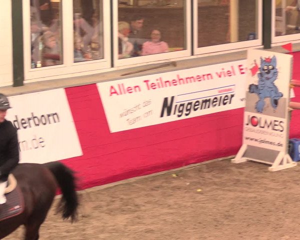Salzkottener Pferdefestival 2018