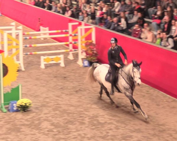 Salzkottener Pferdefestival 2018