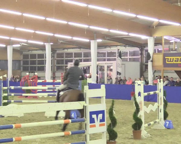 Reitturnier Isterberg 2018