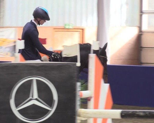 Reitturnier Isterberg 2018