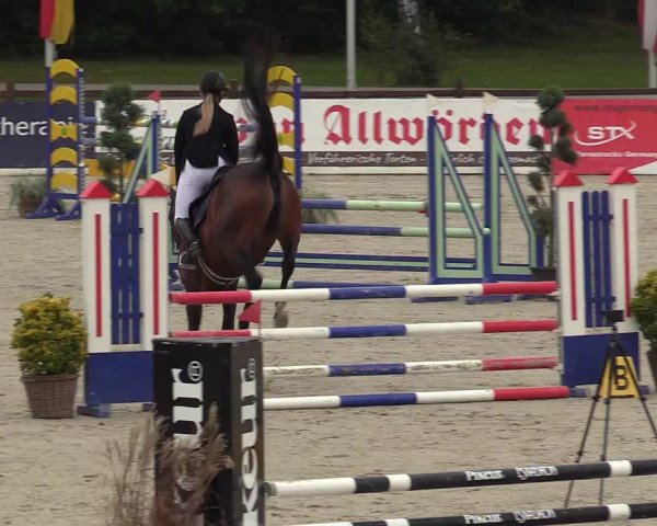 Reitturnier Westergellersen 2021