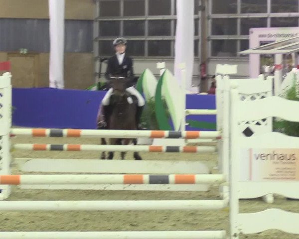 Reitturnier Isterberg 2018