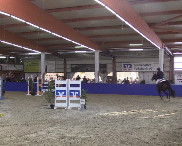 Reitturnier Isterberg 2018
