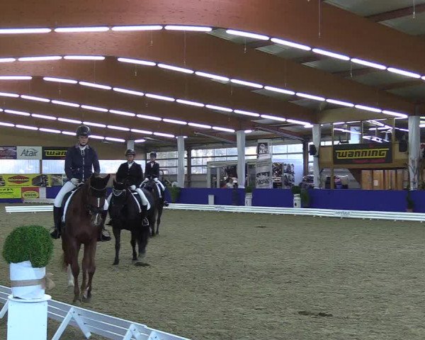 Reitturnier Isterberg 2018
