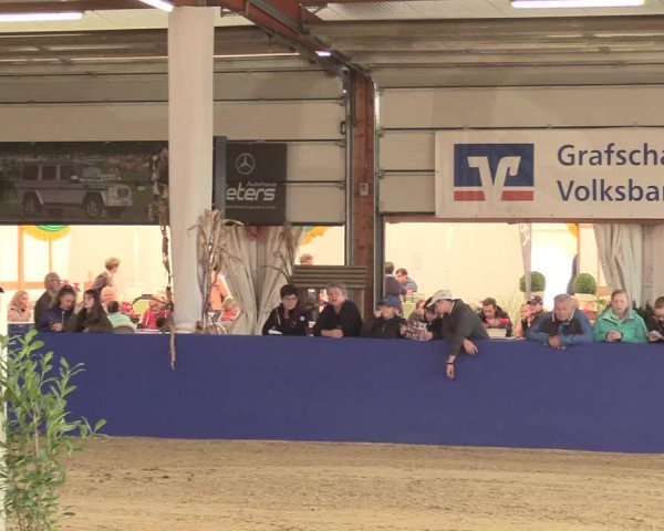 Reitturnier Isterberg 2018