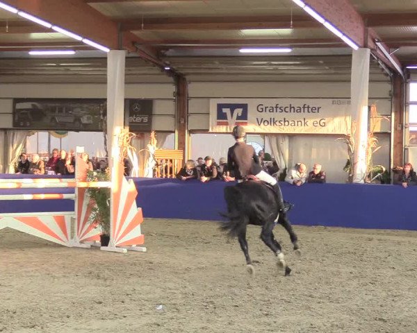 Reitturnier Isterberg 2018