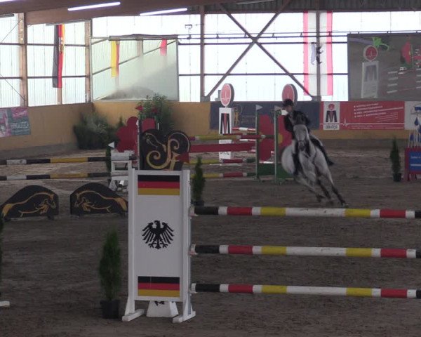 Reitturnier Pausin 2018