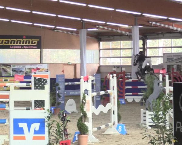 Reitturnier Isterberg 2018