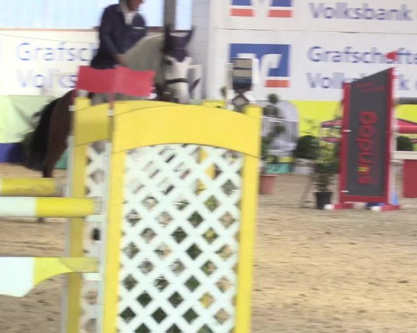 Reitturnier Isterberg 2018