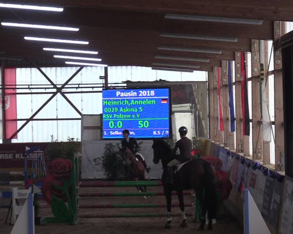 Reitturnier Pausin 2018