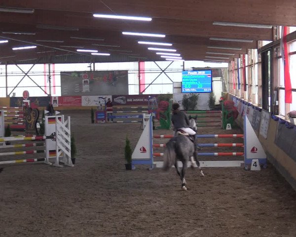 Reitturnier Pausin 2018