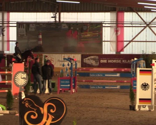 Reitturnier Pausin 2018