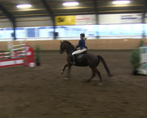 Reitturnier Niebüll 2018